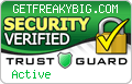 Security Seal